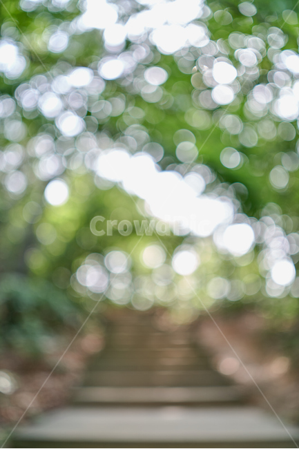 보케,계단,bokeh,녹색,원,circle,step,자연,풍경,nature,landscape,감성,sensible,feeling,휴식,힐링,rest,relaxation,healing