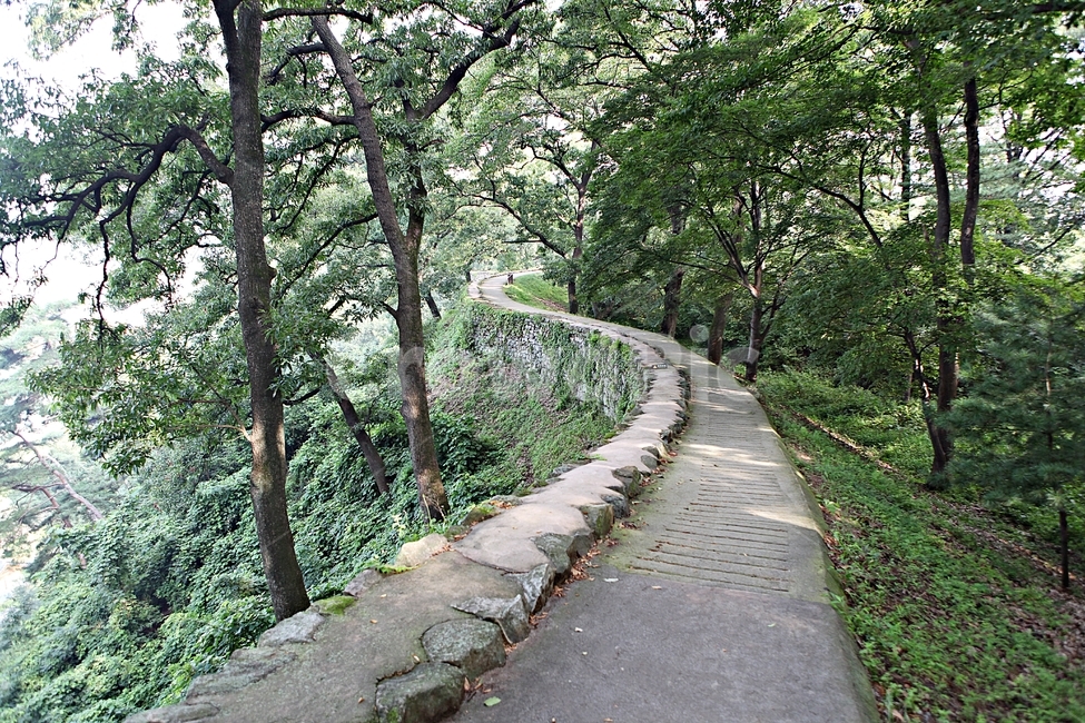 공주산성,성,산성,성곽,길,둘레길,숲,숲길,돌담,담,여름,풍경,흙담,벽,방어벽,나무,식물,유네스코등제