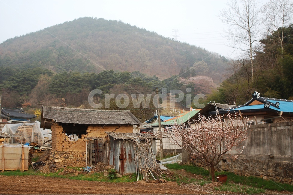 농촌,풍경,자연그대로,시골,농촌풍경,시골풍경,시골,마을,풍경,landscape,country,rural,town