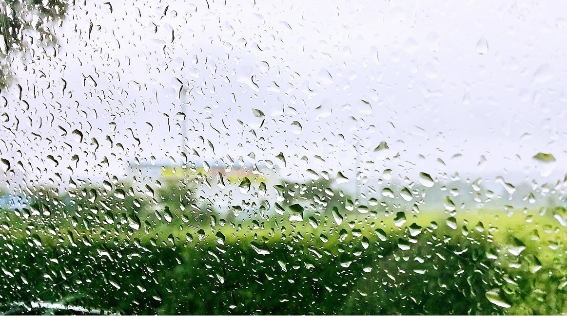 비,차창,푸른,창밖,풍경,감성,sensible,feeling,비,비오는날,rain,rainy