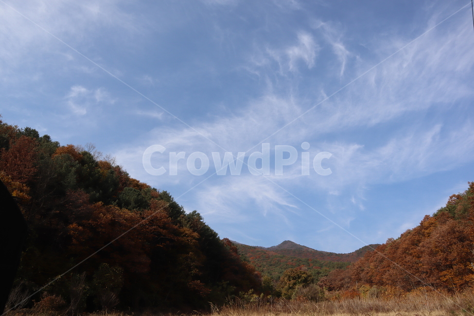가을,단풍,하늘,구름,nature,outdoors,산,가을,계절,fall,autumn,season,자연,옥외