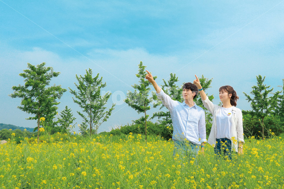 미래,풍경,향하다,전진,꿈,유채꽃,꽃밭,다짐,도전,화보,커플,하늘,봄,계절,spring,season,사람,인물,인간,human,person,연인,커플,사랑,lover,couple,outdoors,옥외,grassland,목초지,field,들,nature,자연