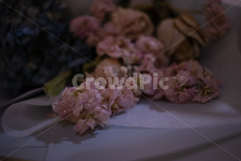꽃,flower,dryflower,말린꽃,꽃다발,식물,자연,plants,nature,꽃,flower,감성,sensible,feeling