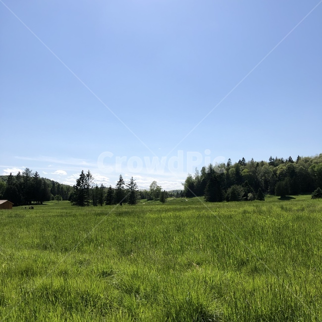 field,들,grassland,자연,nature,옥외,outdoors,farm,농장,countryside,목초지,meadow,농촌,rural,시골,초원,목장,잔디,자연,풍경,nature,landscape