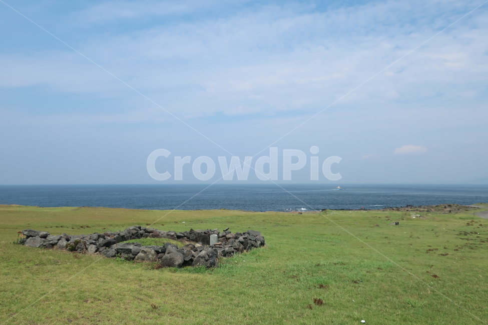 plant,식물,grass,field,들,자연,nature,grassland,마라도,하늘,바다