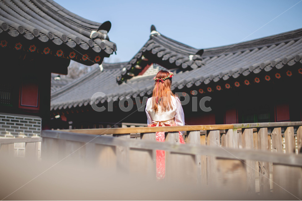 화관,한복,창경궁,궁궐,궁전,돌다리,한옥,한국전통,전통의상,장미,사람,인물,인간,여성,여자,연출,컨셉,female,koreantraditional,hanbok,뒷모습,human,sensible,감성,apparel,clothing,한복,한국전통의상,hanbok,korean traditional clothes,사람,인물,인간,human,person,여성,여자,woman,female,lady