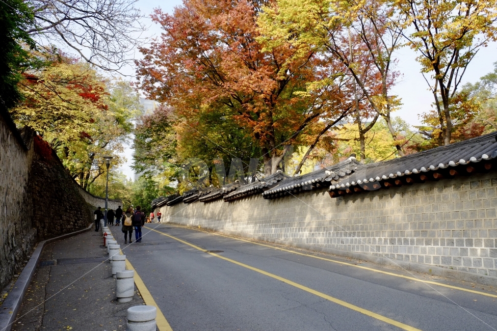 가을,덕수궁,돌담길,가을풍경,서울,단풍,궁궐,문화재,한국전통,한국문화,korean traditional,korean culture