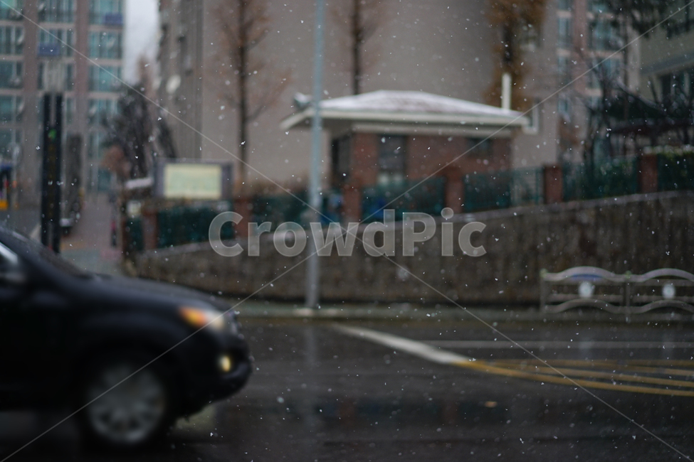 눈,설경,풍경,일상,snow,겨울,계절,추위,겨울이야기,감성,감성사진,날씨,얼음,풍경사진,느낌,감각,겨울,계절,winter,season,교통,교통수단,traffic,transportation,car,차,vehicle,차량,automobile,자동차,machine,기계,alloy wheel,합금 휠,wheel,바퀴,tire,타이어