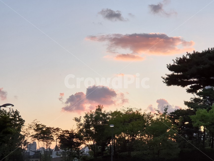 자연,하늘,구름,풍경,물결구름,뭉게구름,나무,trees,wood