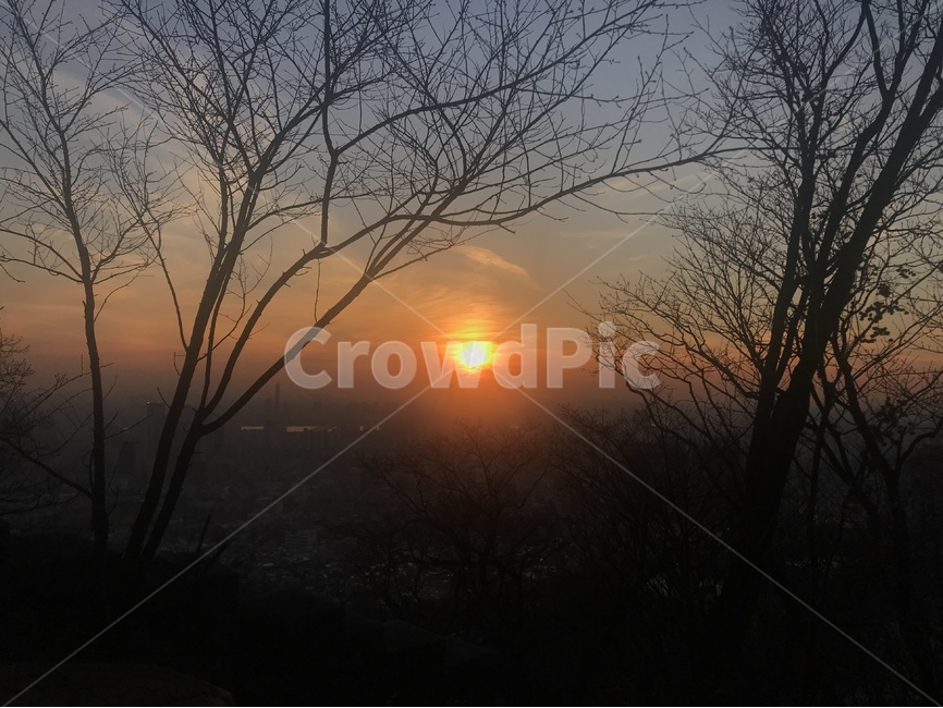 노을,나무,따듯함,태양,하늘,해,전망,자연,풍경,nature,landscape,outdoors,옥외,sunset,일몰,red sky,붉은 하늘,sky,dusk,황혼,dawn,새벽,sunlight,햇빛
