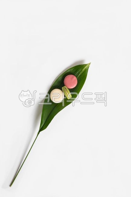 fragrant,pretty,tree leaves,snack,background paper,delicious,springflowers,food,flower,spring,beautiful,petal,backgroundpaper,macaroon,background,plant,sweet
