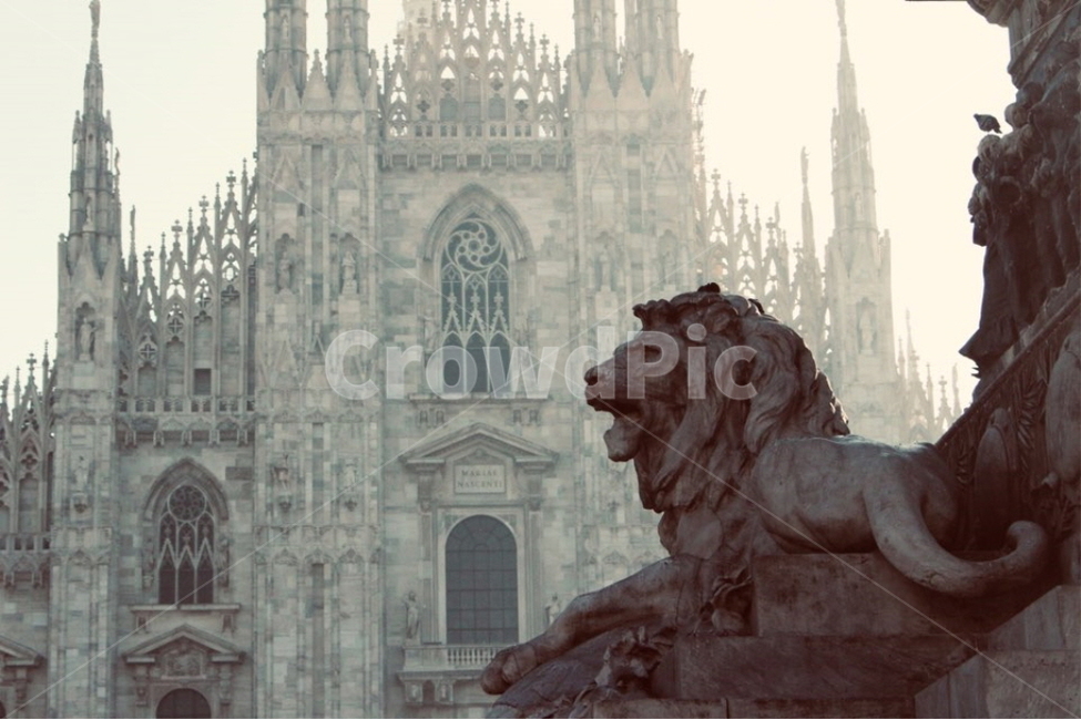 유럽,이탈리아,밀라노,성당,사자,동물,italy,milan,europe,milano,church,cathedral,lion,animal,랜드마크,landmark,tourist attraction,해외,외국,세계,foreign,oversea,world,세계랜드마크,해외랜드마크,외국랜드마크,world landmark,world tourist attraction,건축물,건물외관,exterior,building,structure,architecture,construction