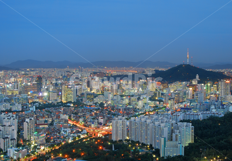 남산,타워,남산타워,서울타워,서울n타워,n타워,빌딩,고층빌딩,스카이라인,랜드마크,비지니스,비즈니스,회사,오피스,컴퍼니,아파트,산,하늘,배경,백그라운드,도시,도심,빌딩숲,풍경,도시풍경,야경,도시야경,저녁,밤,불빛,대도시,중심가,파노라마,서울,한국