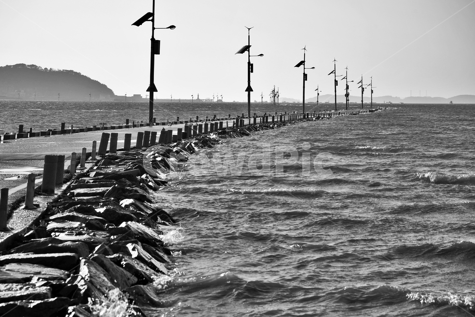 제부도,화성시,제부바닷길,화성8경,제부모세,바다,도로,썰물,흑백