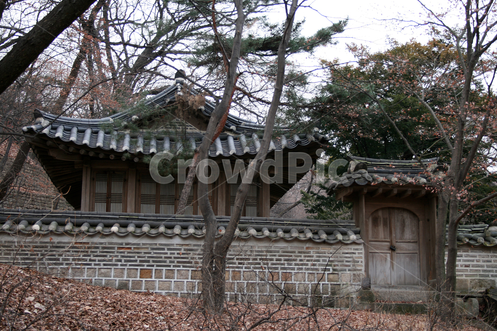 창덕궁,후원,세계문화유산,문화유산,한국,한국전통,한국문화,korean traditional,korean culture,건축물,건물외관,exterior,building,structure,architecture,construction