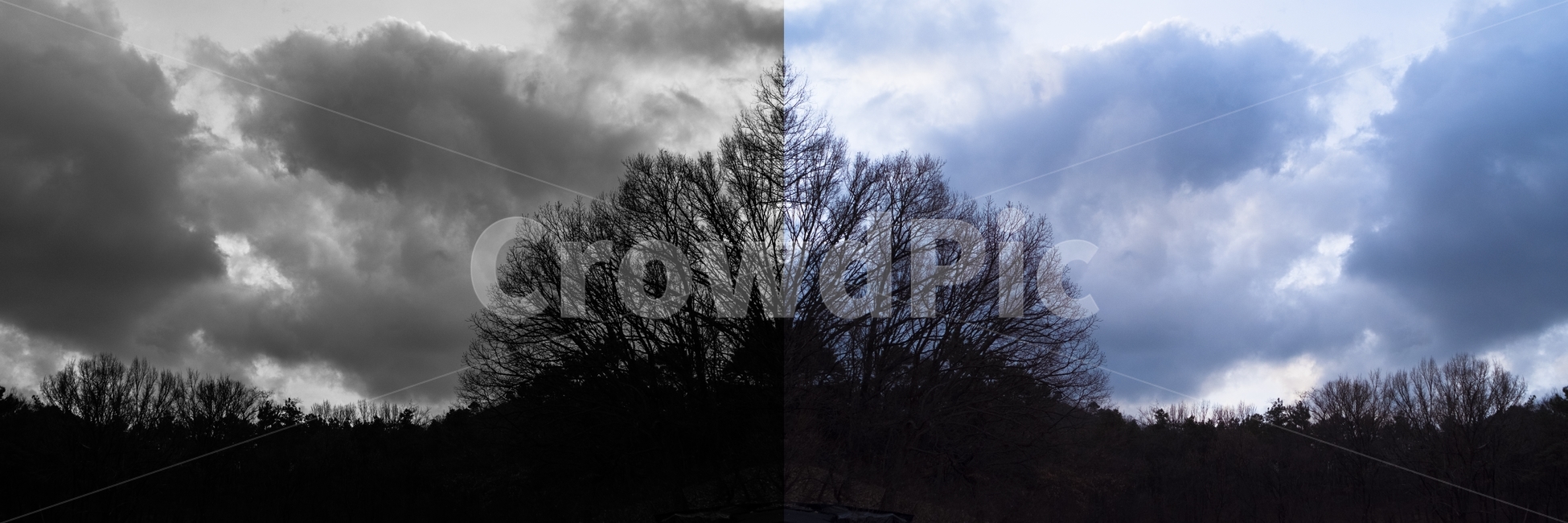 풍경,미러,반전,하늘,대비,자연,풍경,nature,landscape,흑백,모노톤,monochrome,black and white,weather,날씨