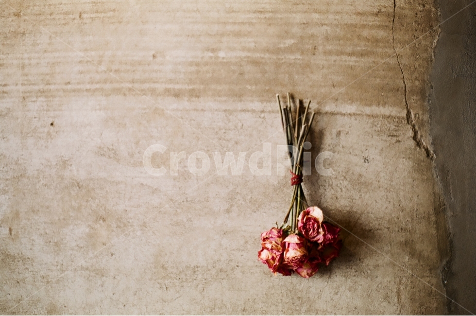 드라이플라워,인테리어,벽,꽃,말린꽃,꽃다발,장미,말린장미,장식,감성사진,필름사진,filmphotograph,rose,flower,dryflower,꽃,flower,감성,sensible,feeling,빈티지사진,빈티지느낌,빈티지감성,vintage
