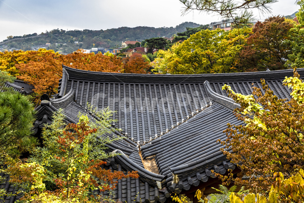 길상사,사찰,기와,기와지붕,단풍,가을,지붕,roof,만추,전통가옥,한옥,한국전통,한국문화,korean traditional,korean culture,건축물,건물외관,exterior,building,structure,architecture,construction