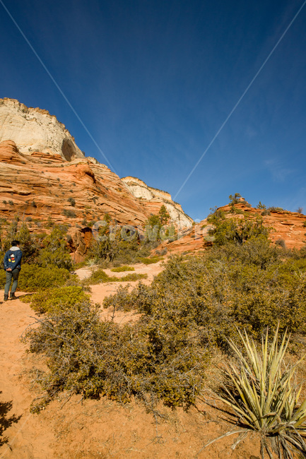 zioncanyon,national,utah,plateau,erosion,sandstone,scenery,arid,beautiful,blue,canyon,cliff,desert,geology,hiking,hill,landscape,mountain,natural,nature,nevadadesert,outdoor,park,red,rock,sand,scenic,sky,stone,summer,tourism,usa,valley,view,미국,아메리카,유타,사막,황량,자이언캐년,자연,풍경,nature,landscape,해외,외국,세계,foreign,oversea,world,세계자연풍경,해외자연풍경,외국자연풍경,world nature landscape
