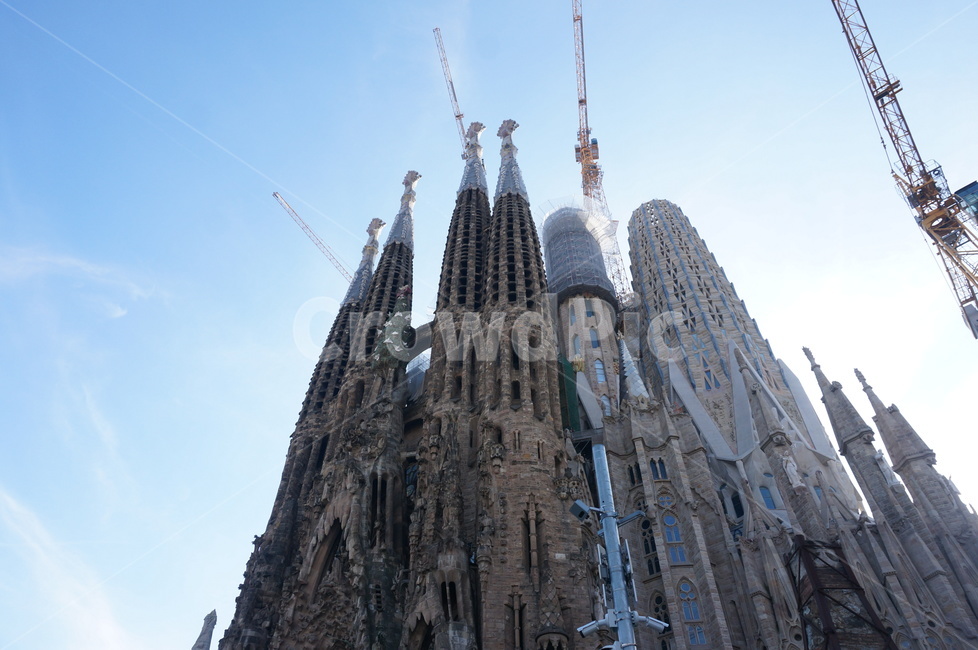 스페인,사그라다파밀리아,성당,가우디,건출물,랜드마크,landmark,tourist attraction,해외,외국,세계,foreign,oversea,world,세계랜드마크,해외랜드마크,외국랜드마크,world landmark,world tourist attraction,spire,첨탑,architecture,건축물,steeple,뾰족한 탑,tower,탑,building,건물