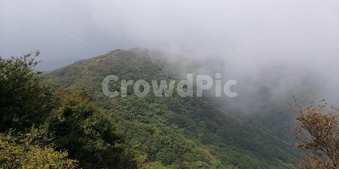 산,안개,능선,숲,나무