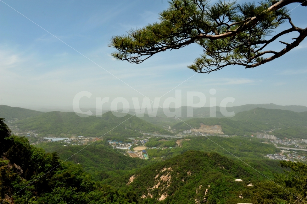 소나무,북한산,등산,전경,산행,자연,풍경,nature,landscape,한국자연풍경,한국자연경관,korea nature landscape,식물,plants,나무,trees,wood,outdoors,옥외