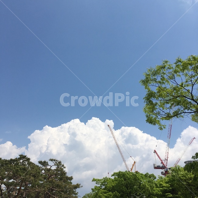 건설,공사,구름,cloud,나무,tree