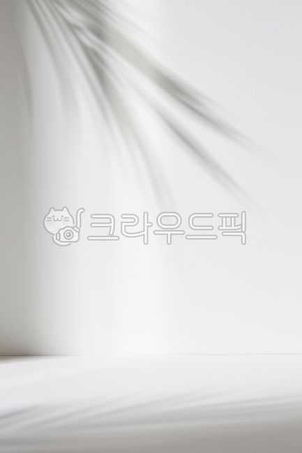 stilllife,shadow,simple,Modern,empty,beautiful,botanical,white,backdrop,natural light,light,background,plant,glow,frame,concept,pattern,bright,blur,sun,summer,interior,minimal,gray,modern,composition,design,art,wallpaper,nature,texture,nopeople,copyspace,