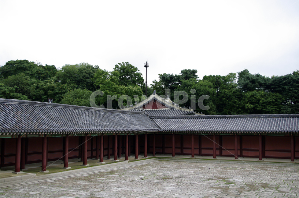 창덕궁,고궁,한옥,전통가옥,기와지붕,건축,traditional,한국전통,한국문화,korean traditional,korean culture,랜드마크,landmark,tourist attraction,한국랜드마크,한국관광지,한국명소,korea landmark,korea tourist attraction,건축물,건물외관,exterior,building,structure,architecture,construction