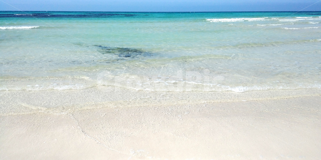 바다,제주도,여름,시원함,해변,모래,해수욕장,summer,beach,ocean,water,물,sand