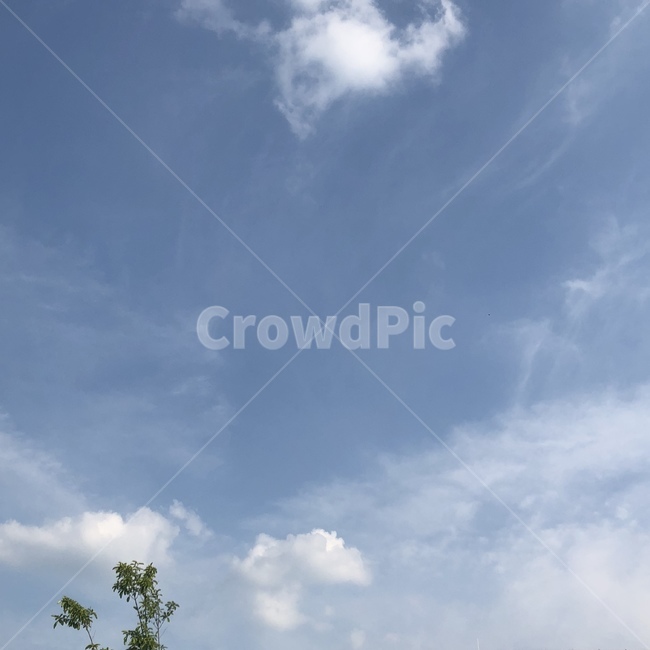 하늘,구름,맑은날,봄,나무,밝음,자연,풍경,nature,landscape,outdoors,옥외,weather,날씨