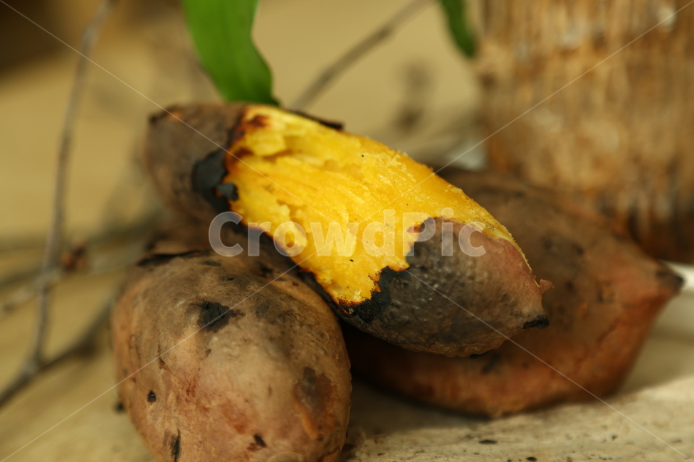 chestnut sweet potato,gourd,sweet potato,Goma County,Pumpkin Sweet Potato,snack,food,gourdcrop,sweetpotatoes,9yearold crop,sweet,snacks