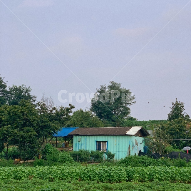 nature,자연,countryside,한지방,건물,building,배경화면,감성