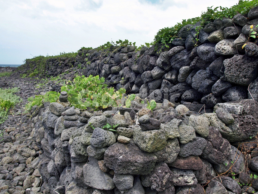 해녀콩서식지,해안길,제주,올레14코스,올레길,돌담,자연,풍경,nature,landscape,제주도,jeju,jeju island,rubble,파편,slate,슬레이트,wall,벽