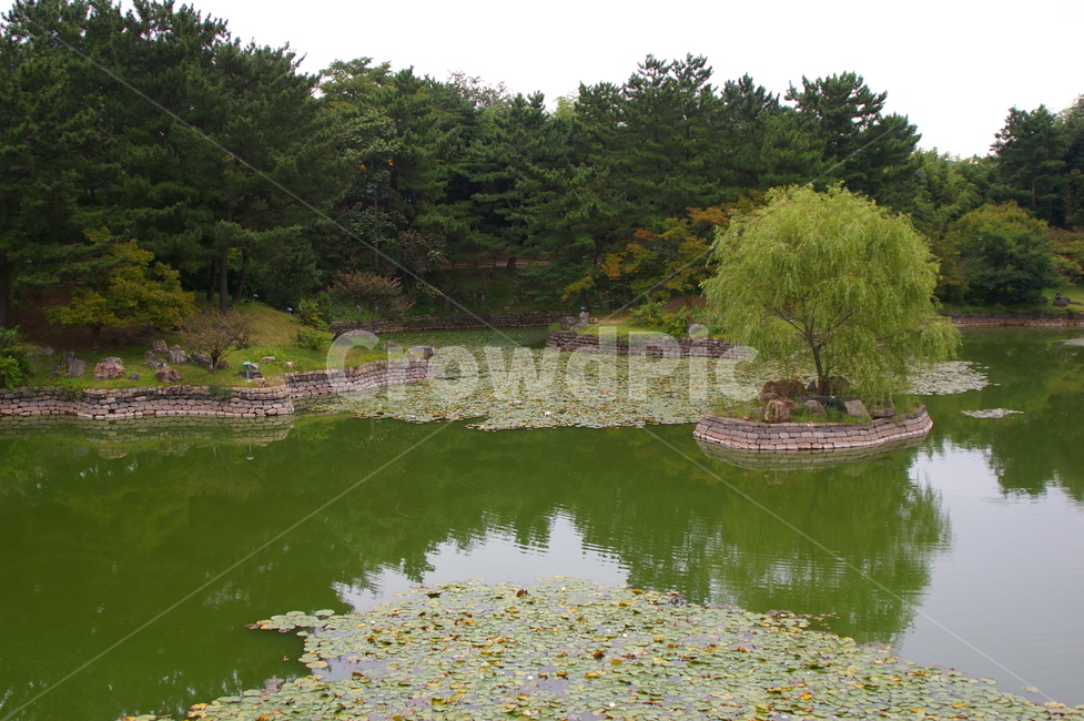경주,풍경,야외,가을,water,물,nature,자연,outdoors,옥외,자연,풍경,nature,landscape