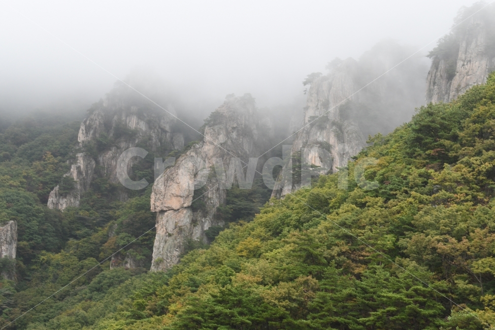 대둔산,산,가을산,바탕화면,안개낀산,안개,자연,풍경,nature,landscape,한국자연풍경,한국자연경관,korea nature landscape,outdoors,옥외,cliff,낭떠러지,weather,날씨