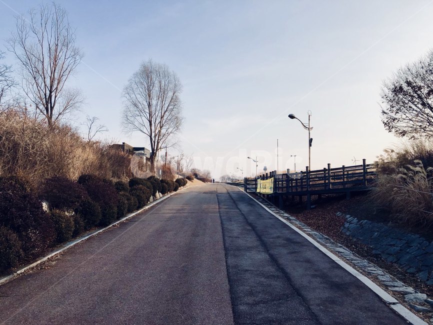 하늘공원,야외,하늘,해질녘,sky,park,sunset,자연,풍경,nature,landscape,asphalt,아스팔트,road,도로