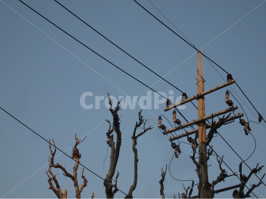 하늘,전선,전봇대,전깃줄,나무,전기,파랑,하늘색,배경,하늘풍경,빈티지,sky,tree,nature,city,winter,산업,industry,industrial,에너지산업,energy industry