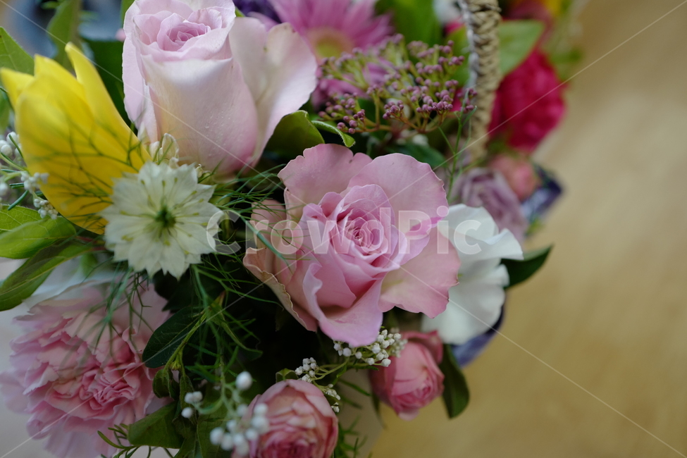 꽃,플라워,flower,flowers,꽃바구니,꽃,flower,기념일,축하,anniversary,congratulation,celebrate,celebration