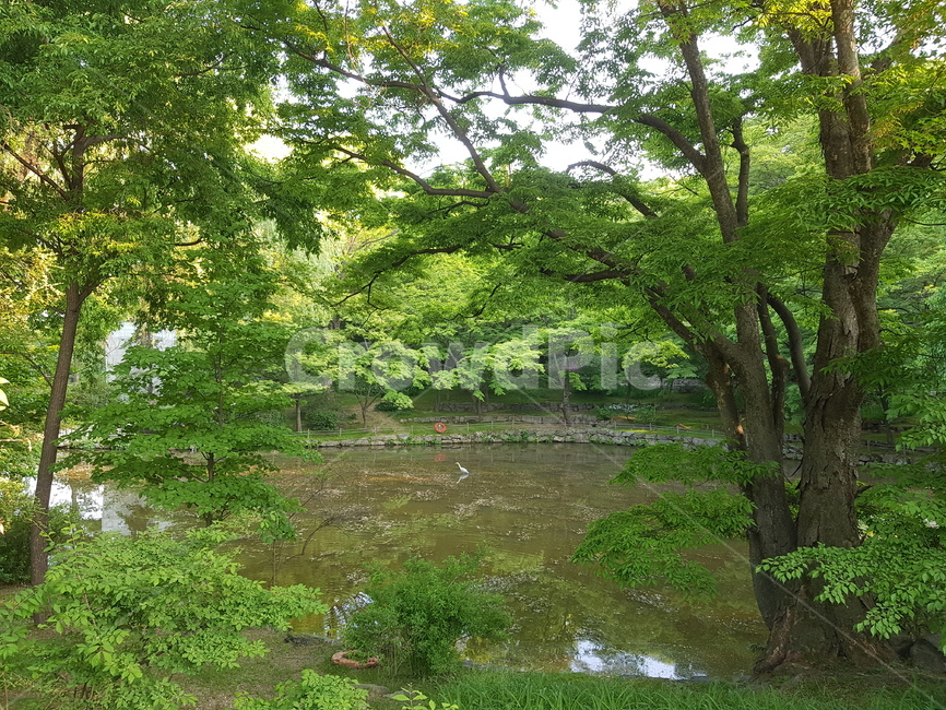 한국,전통,창경궁,문화재,역사,korea,tradition,changgyeonggung,palace,history