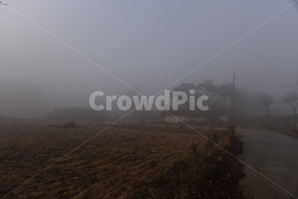 nature,자연,안개,가을,풍경,게절,날씨,weather,자연,풍경,nature,landscape