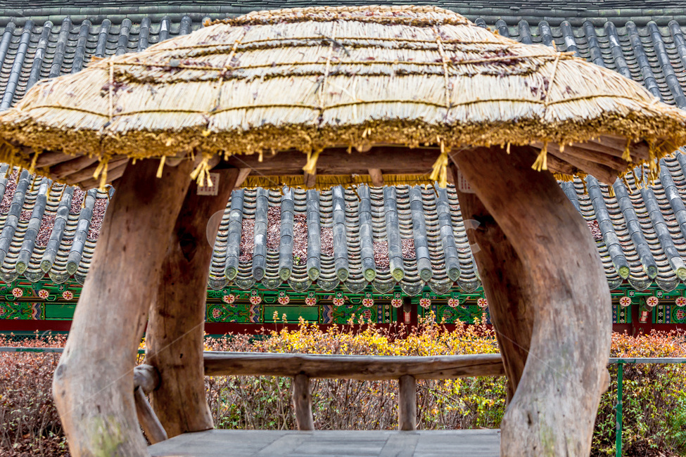 기와,정자,선,전통,사찰,한국전통,한국문화,korean traditional,korean culture,건축물,건물외관,exterior,building,structure,architecture,construction
