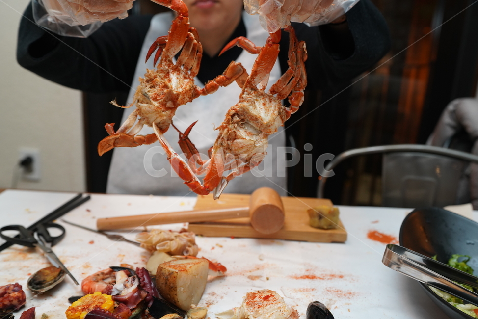 해물,해산물,먹거리,음식,food,식사,안주,안주거리,컬러,색감,게,seafood,해양생물,수산물,해산물,fishery products,seafood