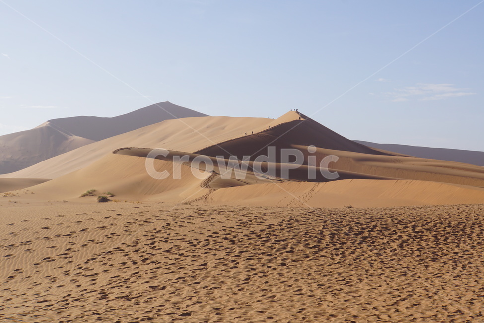 모래,sand,dune,모래언덕,사막,desert,nature,자연