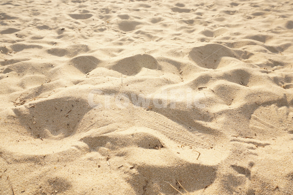 모래,질감,햇살,해변,sandy,해변,바다,beach,sea