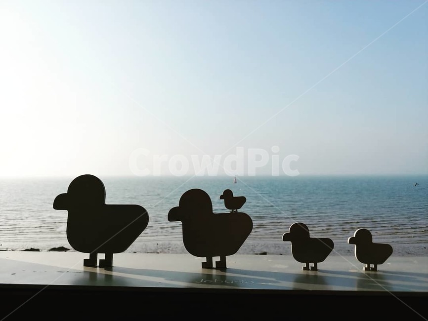 바다,갈매기,조형물,새,장난감,섬,제부도
