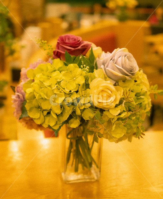 plant,식물,카페,장식품,부케,장식꽃,식물,자연,plants,nature,꽃,flower