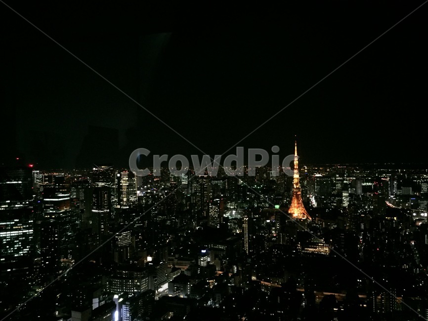 도쿄타워,일본풍경,야경,일본야경,불빛,야경,밤,풍경,nightscape,night,landscape,도시,city,랜드마크,landmark,tourist attraction,해외,외국,세계,foreign,oversea,world,세계도시풍경,해외도시풍경,외국도시풍경,world cityscape,세계랜드마크,해외랜드마크,외국랜드마크,world landmark,world tourist attraction,경치,outdoors,옥외,nature,자연,scenery,aerial view,조감도