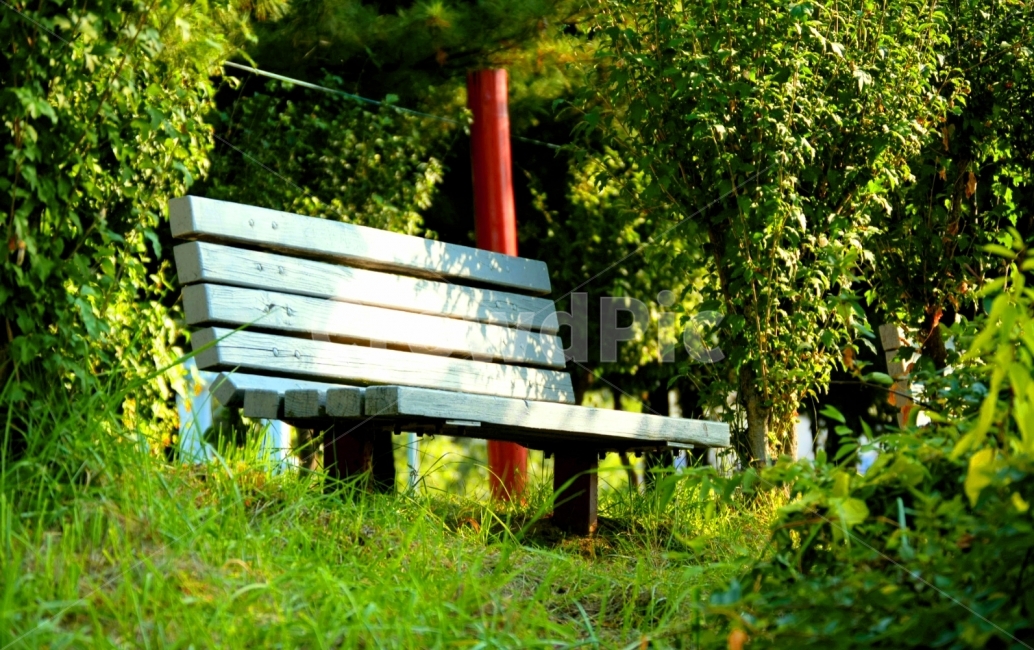 벤치,공원,park,식물,여름,휴식,힐링,rest,relaxation,healing