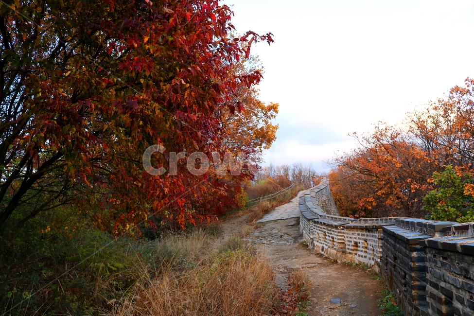 남한산성,산성,성벽,자연,풍경,산,가을,단풍,나무,공원,가을,계절,fall,autumn,season,한국전통,한국문화,korean traditional,korean culture,건축물,건물외관,exterior,building,structure,architecture,construction,tree,plant,식물,maple,leaf,잎